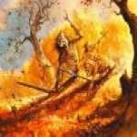 thumb_1586 (Medium).jpg